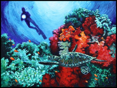 Spotlight On Creation